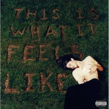 Gracie Abrams - This Is What It Feels Like (0602445236725) винил...