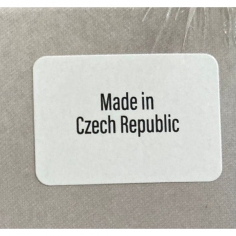 Lady GaGa - Mayhem (0602475451082) виниловая пластинка - фото 17