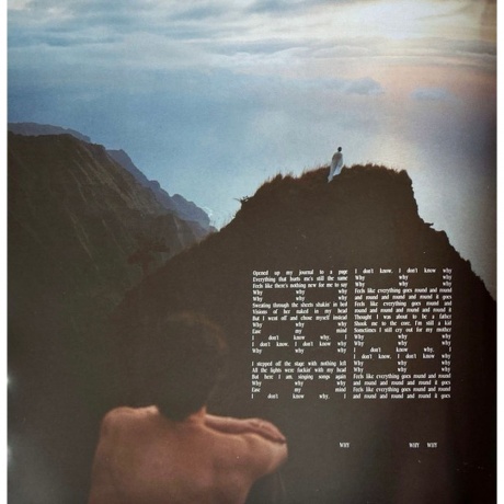 Shawn Mendes - Shawn (coloured) (0602468006398) виниловая пластинка - фото 12