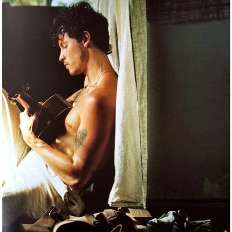 Shawn Mendes - Shawn (coloured) (0602468006398) виниловая пластинка - фото 19