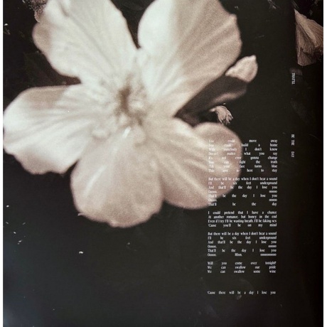 Shawn Mendes - Shawn (coloured) (0602468006398) виниловая пластинка - фото 20