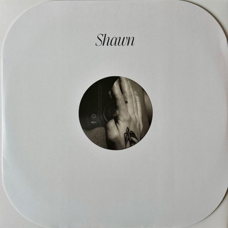 Shawn Mendes - Shawn (coloured) (0602468006398) виниловая пластинка - фото 6