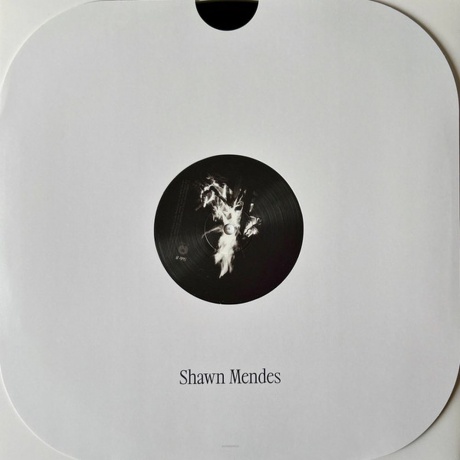 Shawn Mendes - Shawn (coloured) (0602468006398) виниловая пластинка - фото 7