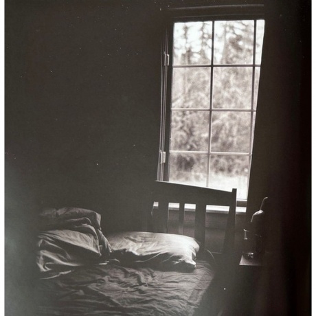 Shawn Mendes - Shawn (coloured) (0602468006398) виниловая пластинка - фото 10