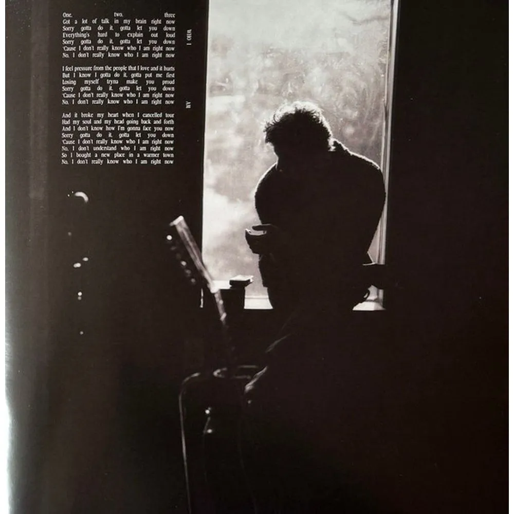 Shawn Mendes - Shawn (coloured) (0602468006398) виниловая пластинка - фото 11