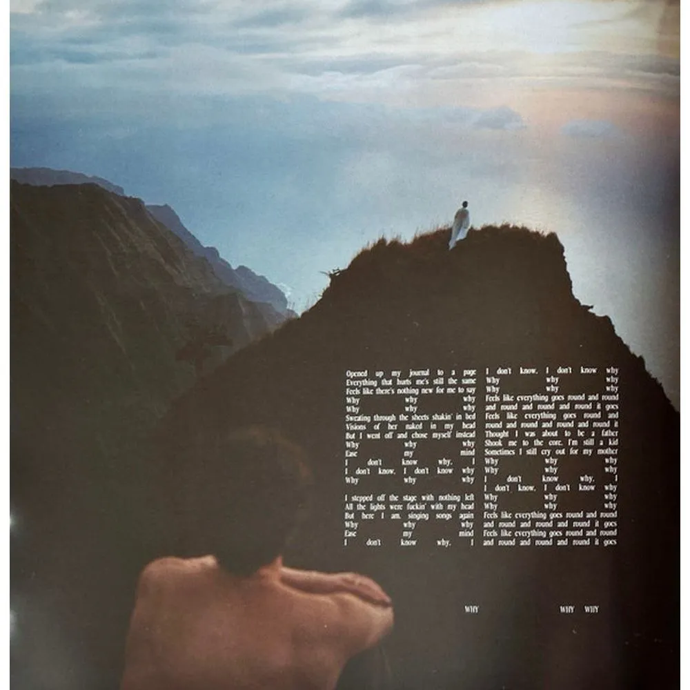 Shawn Mendes - Shawn (coloured) (0602468006398) виниловая пластинка - фото 12