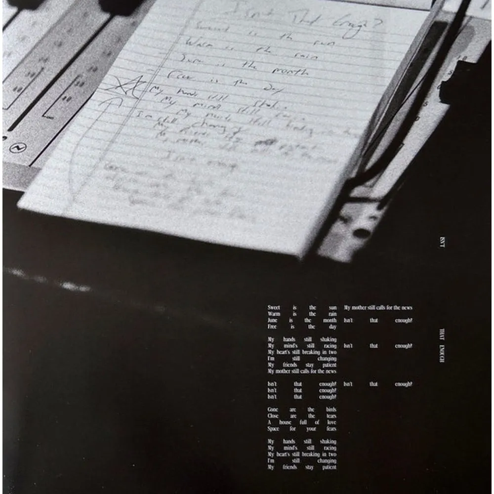 Shawn Mendes - Shawn (coloured) (0602468006398) виниловая пластинка - фото 15