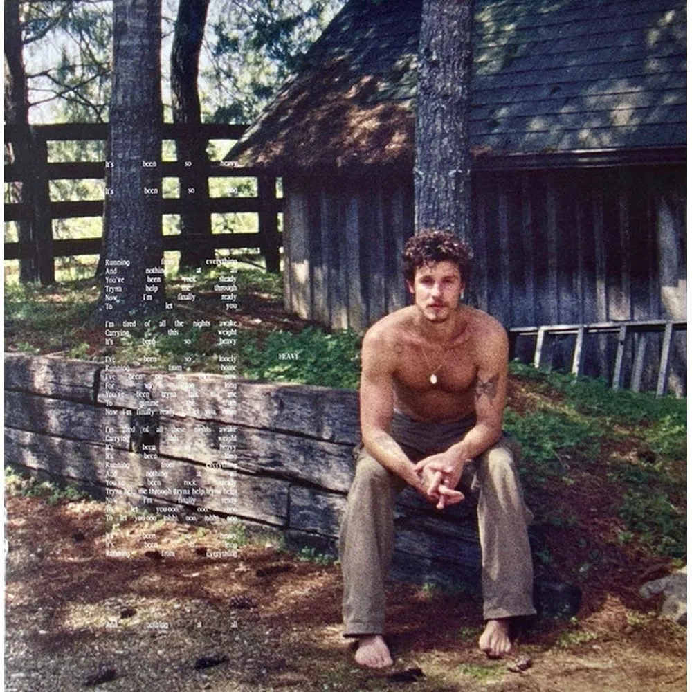 Shawn Mendes - Shawn (coloured) (0602468006398) виниловая пластинка - фото 17