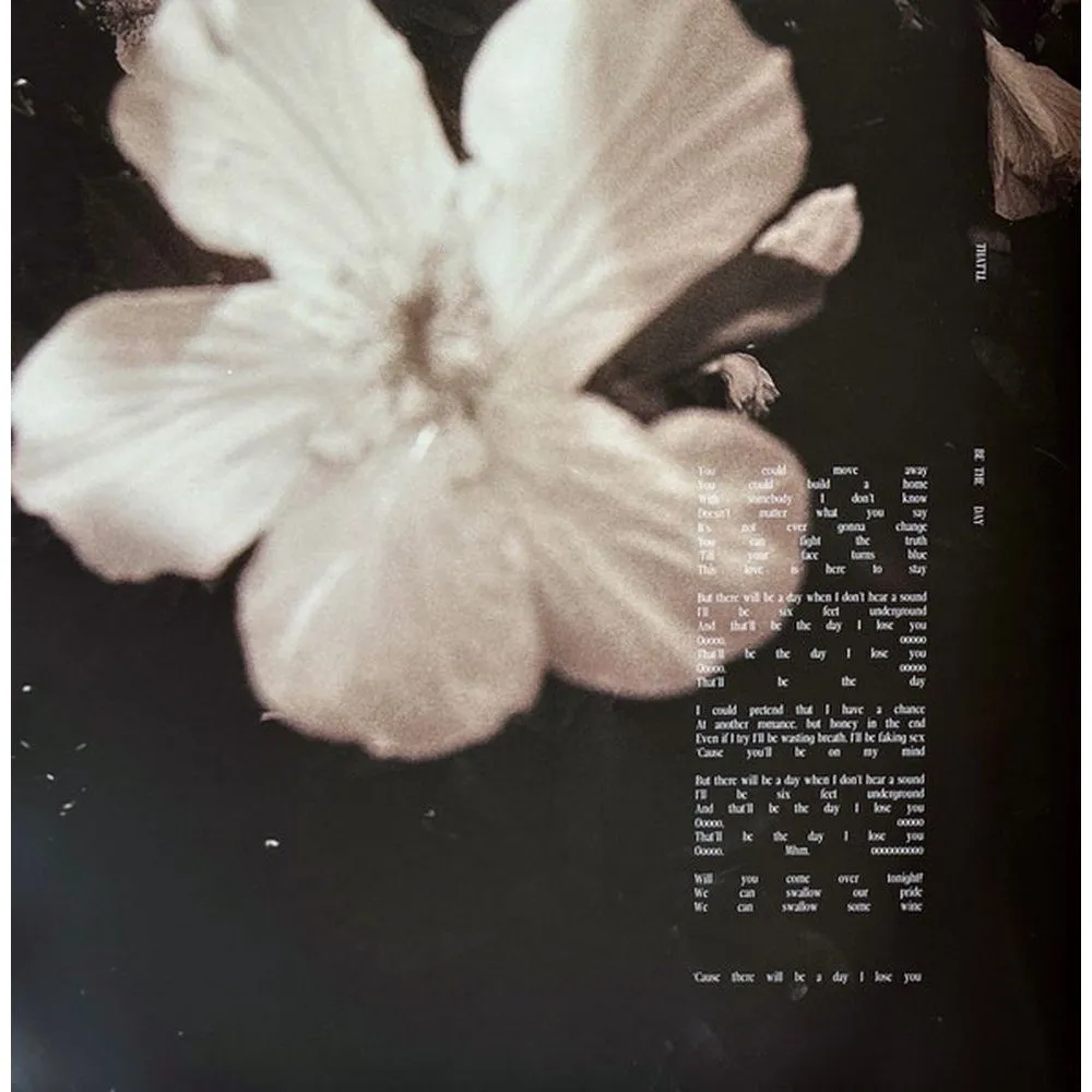 Shawn Mendes - Shawn (coloured) (0602468006398) виниловая пластинка - фото 20