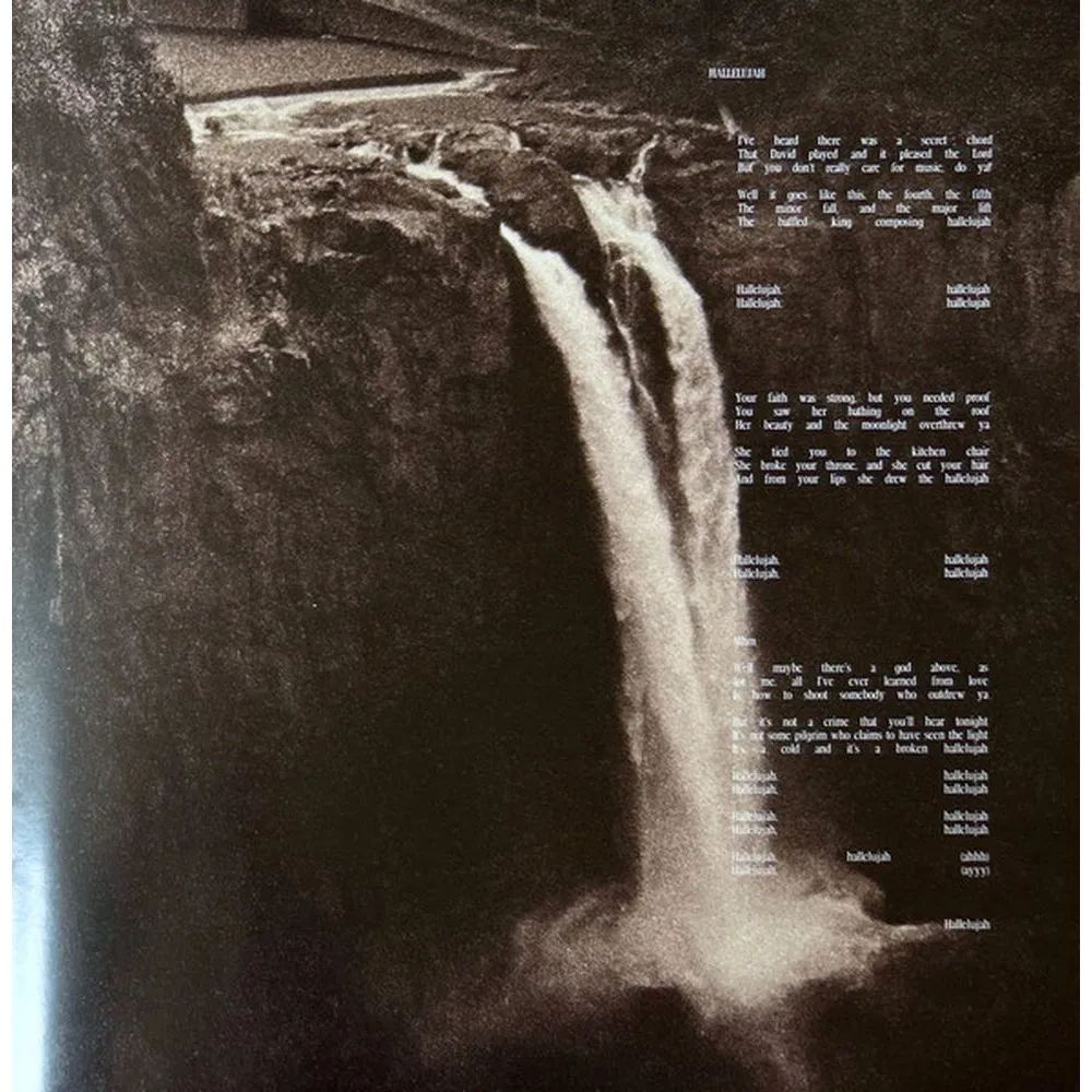 Shawn Mendes - Shawn (coloured) (0602468006398) виниловая пластинка - фото 25