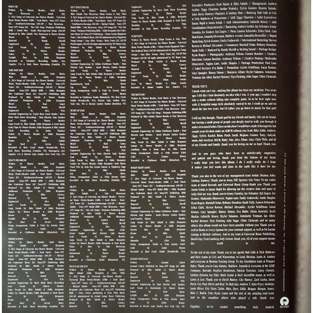 Shawn Mendes - Shawn (coloured) (0602468006398) виниловая пластинка - фото 26