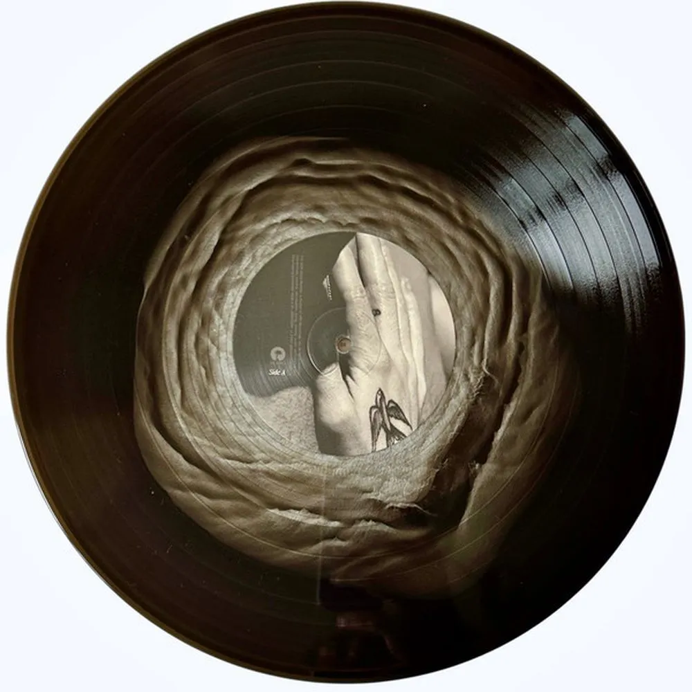 Shawn Mendes - Shawn (coloured) (0602468006398) виниловая пластинка - фото 8