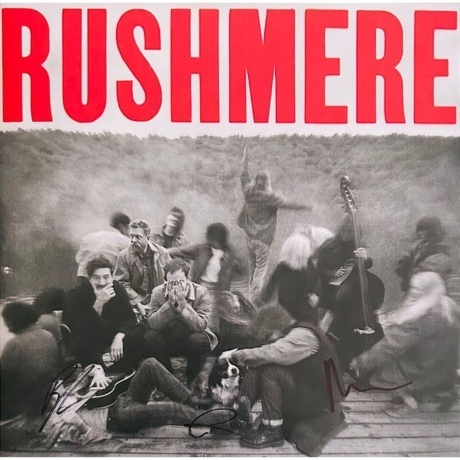 Mumford &amp; Sons - Rushmere (0602475276197) виниловая пластинка - фото 1