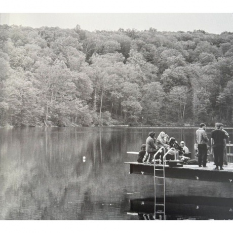 Mumford &amp; Sons - Rushmere (0602475276197) виниловая пластинка - фото 4