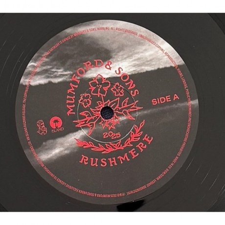 Mumford &amp; Sons - Rushmere (0602475276197) виниловая пластинка - фото 7