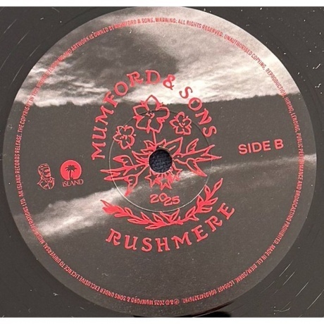 Mumford &amp; Sons - Rushmere (0602475276197) виниловая пластинка - фото 8