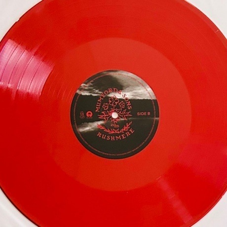 Mumford &amp; Sons - Rushmere (coloured) (0602475276227) виниловая пластинка - фото 6