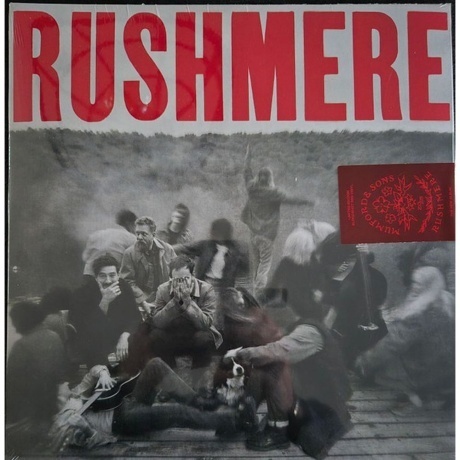 Mumford &amp; Sons - Rushmere (coloured) (0602475276227) виниловая пластинка - фото 10