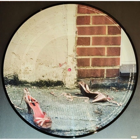 Amy Winehouse - Frank (picture) (0602458518511) виниловая пластинка - фото 5