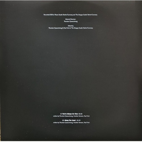 Tangerine Dream - Raum (0802644801919) виниловая пластинка - фото 6