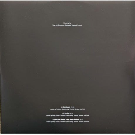 Tangerine Dream - Raum (0802644801919) виниловая пластинка - фото 9