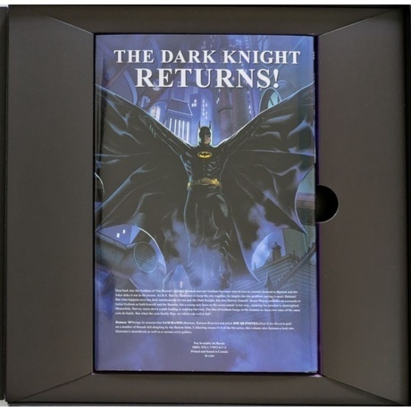 OST - Batman (Danny Elfman) (Box) (coloured) (0850010229775) виниловая пластинка - фото 10