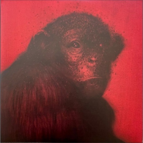 OST - Phenomena (Goblin) (coloured) (0810041487636) виниловая пластинка - фото 2