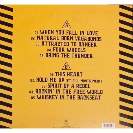 The New Roses - Attracted To Danger (0810166860567) виниловая пластинка - фото 2