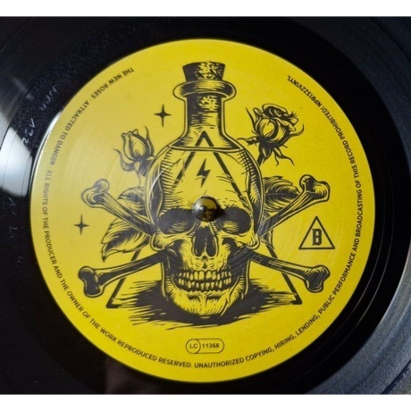 The New Roses - Attracted To Danger (0810166860567) виниловая пластинка - фото 6