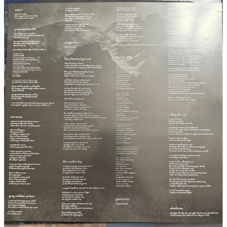 Eluveitie - Slania (coloured) (4065629740917) виниловая пластинка - фото 3