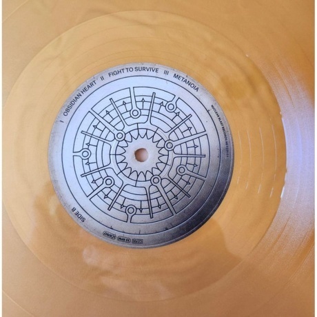 Epica - Aspiral (coloured) (4065629740214) виниловая пластинка - фото 9