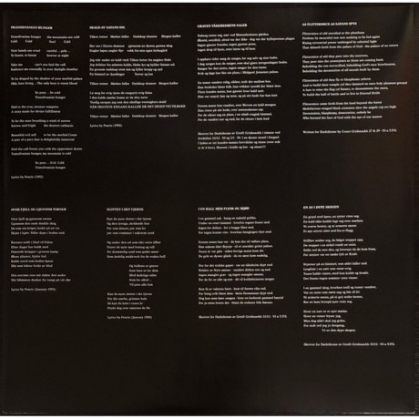 Darkthrone - Transilvanian Hunger (coloured) (0801056815712) виниловая пластинка - фото 6