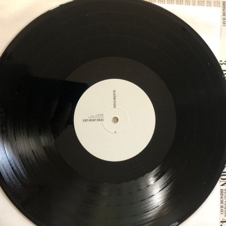 Maximo Park - Stream Of Life (5400863164621) виниловая пластинка - фото 3