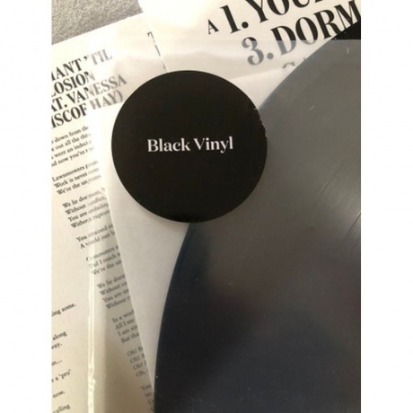 Maximo Park - Stream Of Life (5400863164621) виниловая пластинка - фото 5