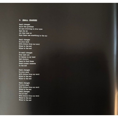 Michael Kiwanuka - Small Changes (0602465904727) виниловая пластинка - фото 11