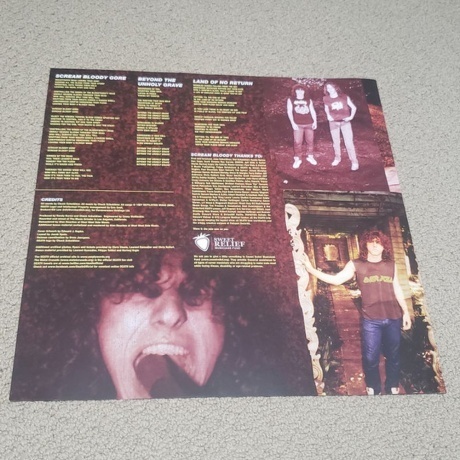 Death - Scream Bloody Gore (coloured) (0781676519910) виниловая пластинка - фото 7