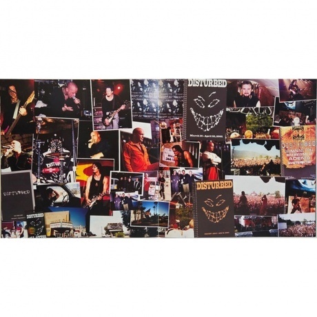 Disturbed - The Sickness - deluxe (0093624843313) виниловая пластинка - фото 31