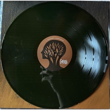 Gojira - L'Enfant Sauvage (coloured) (0075678603433) виниловая пластинка - фото 4