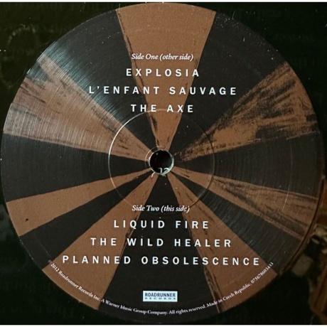 Gojira - L'Enfant Sauvage (coloured) (0075678603433) виниловая пластинка - фото 6