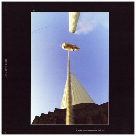 Pink Floyd - Animals (0190758768519) виниловая пластинка - фото 11