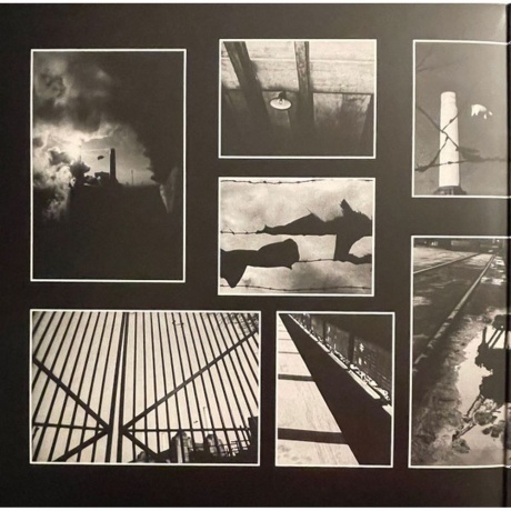 Pink Floyd - Animals (0190758768519) виниловая пластинка - фото 5