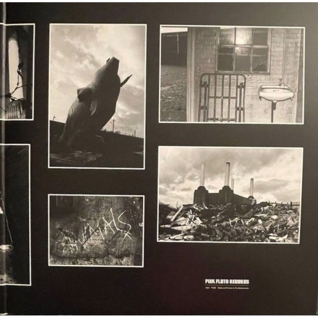 Pink Floyd - Animals (0190758768519) виниловая пластинка - фото 6