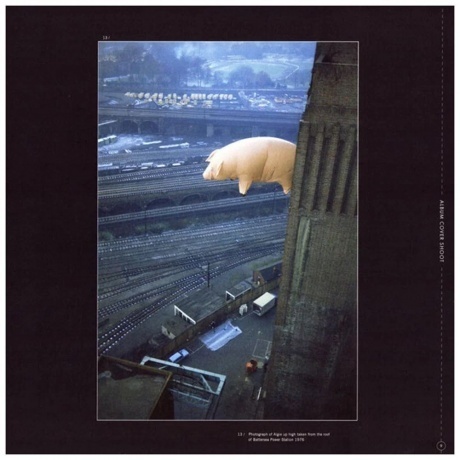 Pink Floyd - Animals (0190758768519) виниловая пластинка - фото 10