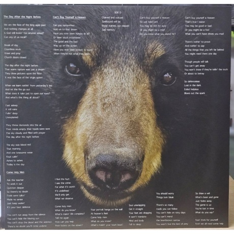 Magnum - The Monster Roars (coloured) (0886922441035) виниловая пластинка - фото 4