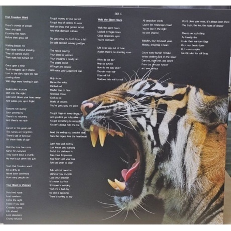 Magnum - The Monster Roars (coloured) (0886922441035) виниловая пластинка - фото 5