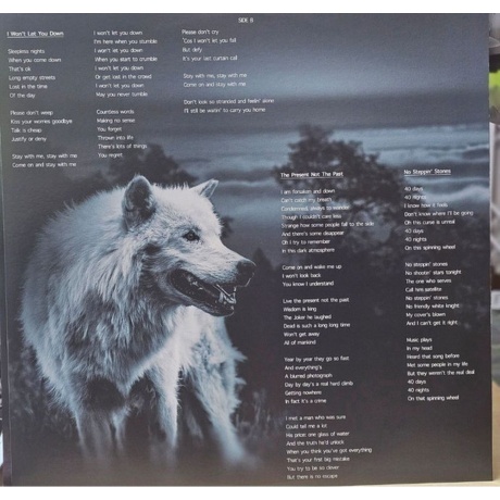 Magnum - The Monster Roars (coloured) (0886922441035) виниловая пластинка - фото 6