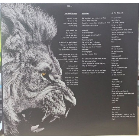 Magnum - The Monster Roars (coloured) (0886922441035) виниловая пластинка - фото 7