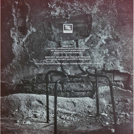Till Lindemann - Meine Welt (V7) (4260639464079) виниловая пластинка - фото 3