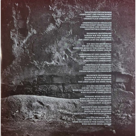 Till Lindemann - Meine Welt (V7) (4260639464079) виниловая пластинка - фото 4