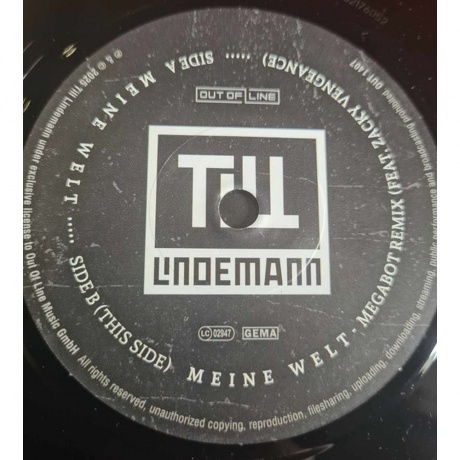 Till Lindemann - Meine Welt (V7) (4260639464079) виниловая пластинка - фото 5